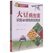 大豆病虫害识别与绿色防控图谱李巧芝普通大众大豆病虫害无污染技术图谱农业 林业书籍