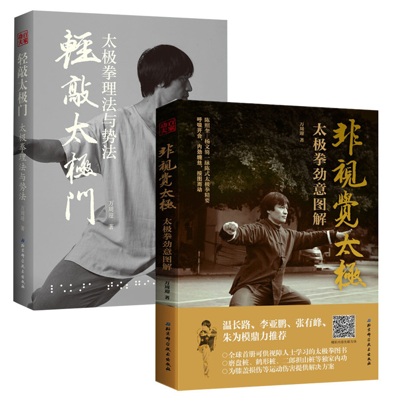 正版 非视觉太极 太极拳劲意图解+轻敲太极门 太极拳理法与势法 万周迎 太极拳书籍 入门 图解传统陈式太极拳83式的势法要领