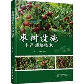 枣农枣树专业合作社农业技术人员参考 枣树设施丰产栽培技术 绿色安全果品生产 现代化设施管理 农林院校相关专业师生阅读 杨飞