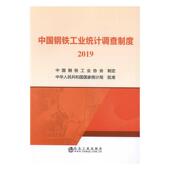 中国钢铁工业统计调查制度 传记书籍 2019