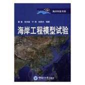 海岸工程模型试验董胜 海岸工程模型试验自然科学书籍