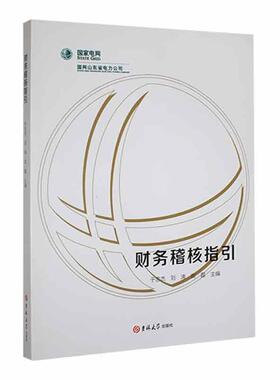 财务稽核指引于忠杰  管理书籍