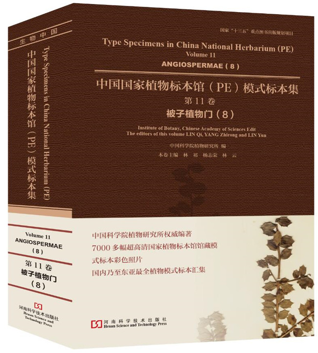 正版中国国家植物标本馆(PE)模式标本集:第11卷:8:Volume 11:8:被子植物门:Angiospermae林祁杨志荣林云植物学书籍