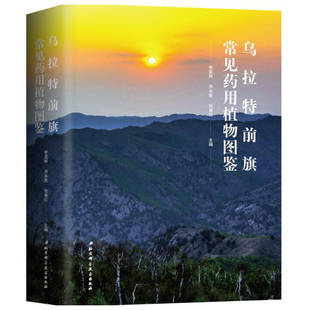 乌拉特前旗常见药用植物图鉴 药用植物百科全书 常见沙生药用植物豆科菊科蔷薇科等近500种药用植物药用部位中医功效蒙医功效介