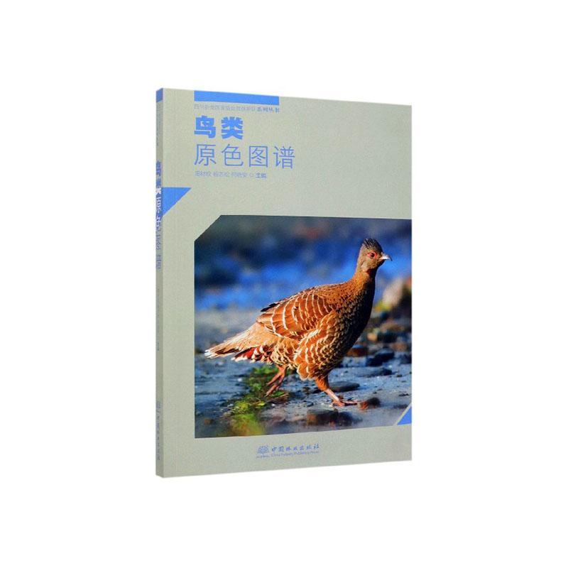 鸟类原色图谱/四川卧龙自然保护区系列丛书 书周材权 自然科学 书籍