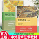 新版 2册 白金版 外国美术史 王树良艺术硕士入学考试考点精编考研教材初学艺术学概论入门教材书精解考试大纲考研复习 中国美术史