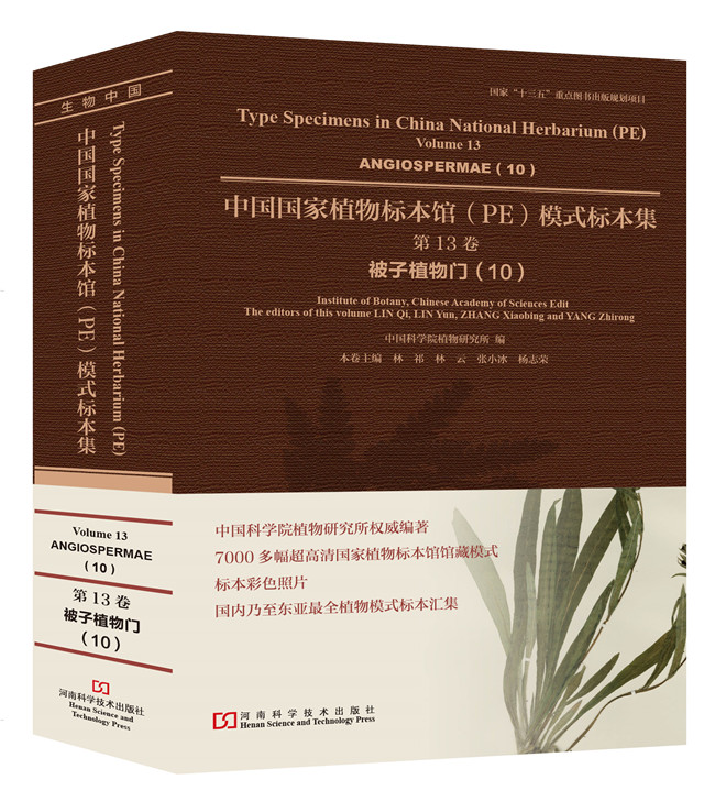 正版 中国国家植物标本馆(PE)模式标本集:第13卷:10:Volume 13:10:被子植物门:Angiospermae 林祁杨志荣林云 植物学 书籍