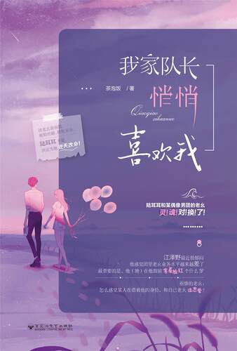 我家队长悄悄喜欢我茶泡饭普通大众长篇小说中国当代小说书籍