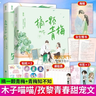 孜黎 甜宠文泽木而栖 青梅知不知 正版 2册木子喵喵 花火浪漫青春校园书籍言情爱情小说 摘一颗青梅 青春文学青春校园甜宠小说