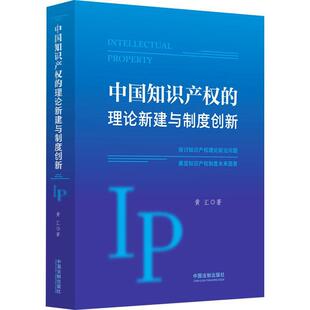 中国知识产权 法律书籍 理论新建与制度创新黄汇