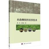 水曲柳组织培养技术杨玲 林业书籍 农业