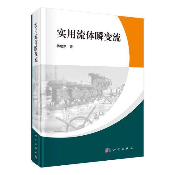 实用流体瞬变流 书杨建东 自然科学 书籍