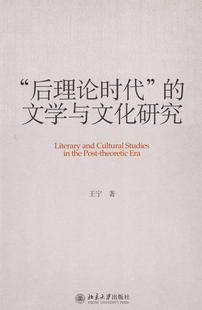 王宁 书籍 9787301155547 文学与文化研究 书 后理论时代 文化
