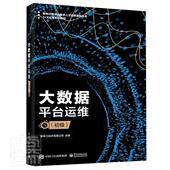 新华三数字化技术人才培 书 者_新华三技术有限公司责_胡辛 大数据平台运维 工业技术 X证书系列教材 9787121397455 书籍 初级1