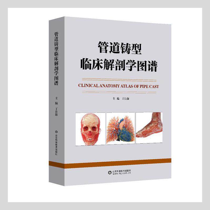 管道铸型临床解剖学图谱(精)丁自海普通大众血管外科学人体解剖学图谱医药卫生书籍