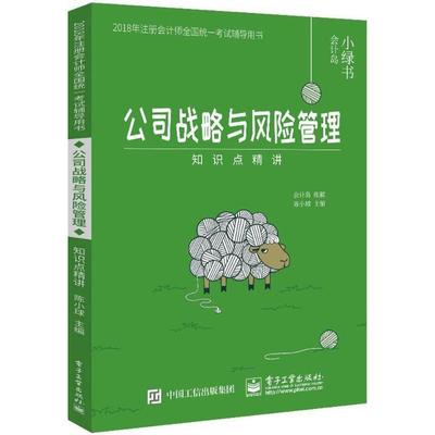 公司战略与风险管理知识点精讲陈小球 公司企业战略统一考试自学参考资管理书籍