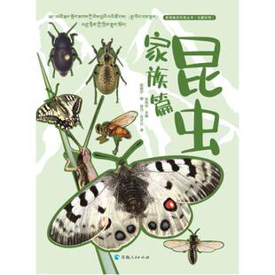 社自然科学 高原精灵科普丛书 张同作陈振宁觉乃·云才让青海人民出版 昆虫家族篇9787225066707 书籍 汉藏对照