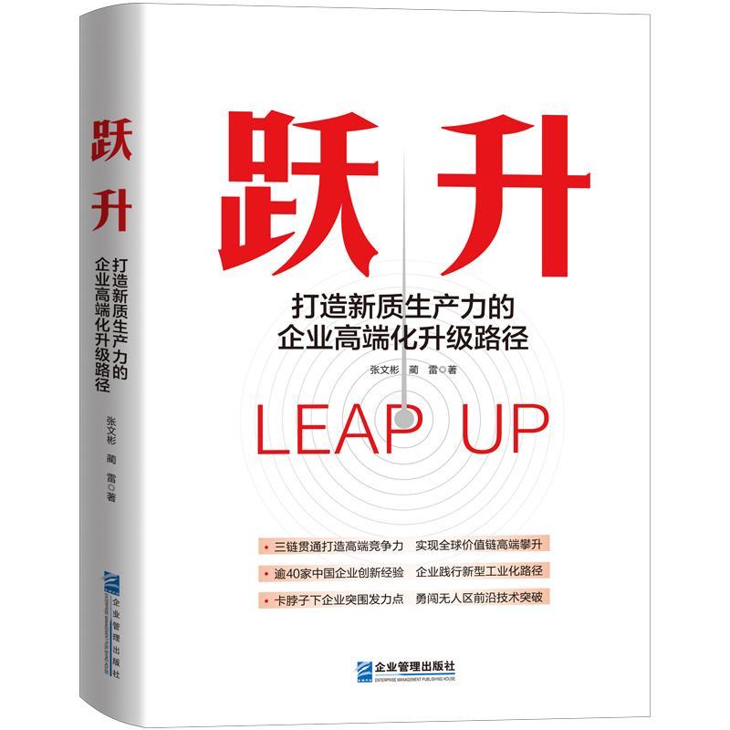 跃升——打造新质生产力的企业化升级路径张文彬  管理书籍