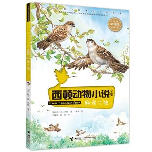 麻雀兰迪欧·汤·西顿  儿童读物书籍