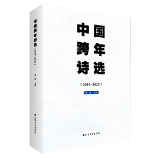 正版包邮 中国跨年诗选2019-2020 北野 王小妮 邹进 中国现当代诗歌 大于诗集现代诗集经典书 现代诗歌 诗歌集文学书籍