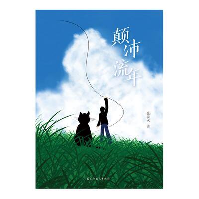 颠沛流年张花火普通大众中篇小说中国当代小说书籍