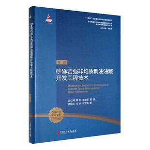砂砾岩强非均质稠油油藏开发工程技术9787563676934 游红娟中国石油大学出版社工业技术 书籍