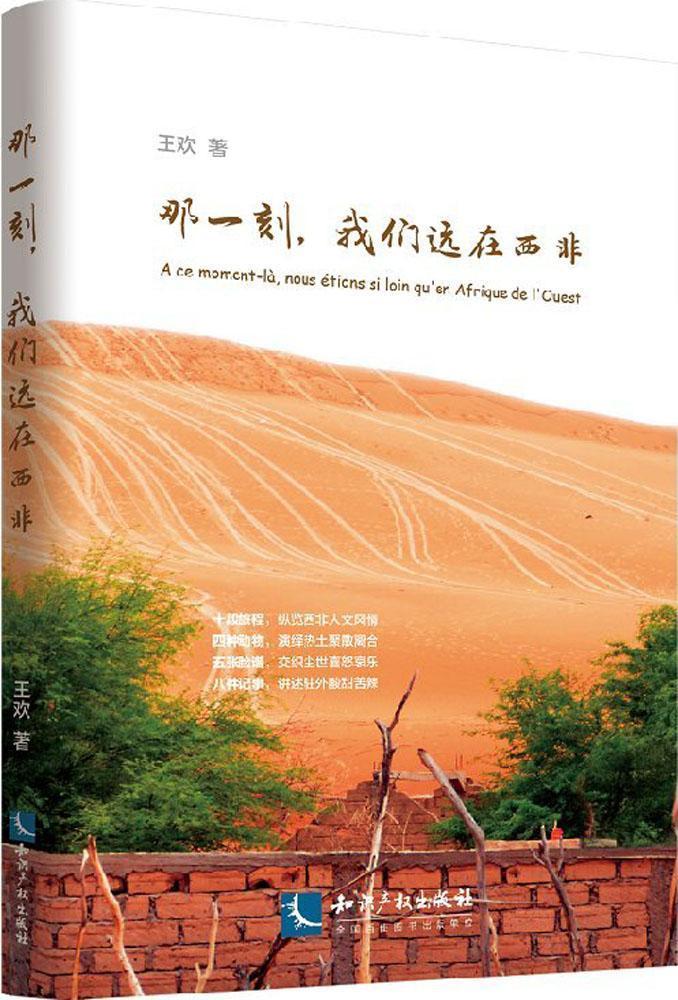 那一刻，我们远在西非王欢大众读者对驻外工作感兴趣和对西 文学书籍