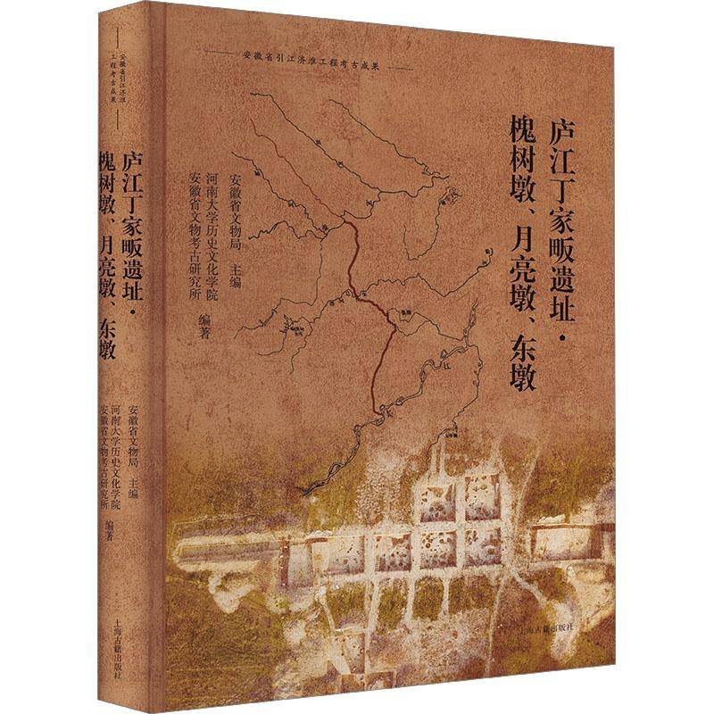 庐江丁家畈遗址·槐树墩、月亮墩、东墩安徽省文物局河南大学历史文化学 历史书籍