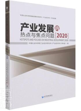 产业发展的热点与焦点问题:2020:2020工业经济研究所普通大众产业发展中国文集经济书籍