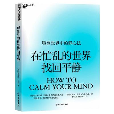 在忙乱的世界找回静克里斯·贝利  社会科学书籍
