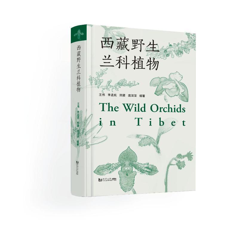 正版包邮 西藏野生兰科植物 王伟 李孟凯 邢震 庞深深编著 兰科植物形态特征分布生境 植物画 植物科学画书籍 同济大学出版社