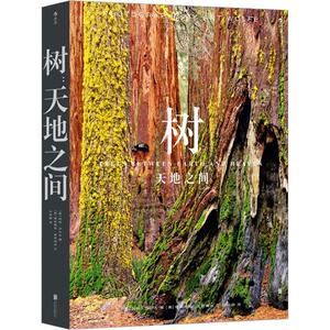 正版包邮 树 天地之间 传奇摄影师阿特沃尔夫 近300张照片呈现树木万千灵魂碎片 地球之美迁徙自然摄影集艺术画册书籍
