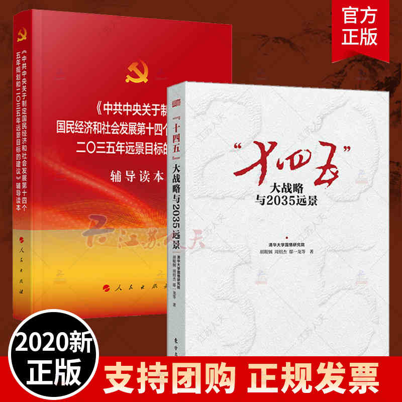 十四五大战略与2035远景+中央关于制定国民经济和社会发展第十四个五年规划和二〇三五年远景目标的建议辅导读本胡鞍钢