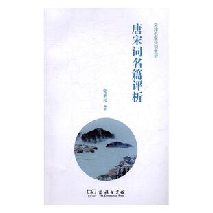 唐宋词名篇评析党圣元 唐宋词诗歌欣赏文学书籍