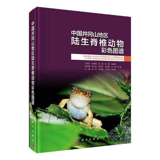 中国井冈山地区陆生脊椎动物彩色图谱王英永等 井冈山陆栖脊椎动物门
