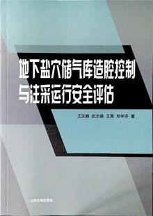 地下盐穴储气库造腔控制与注采运行评估王汉鹏武志德王粟郑学芬本科及以上地下储气库研究工业技术书籍