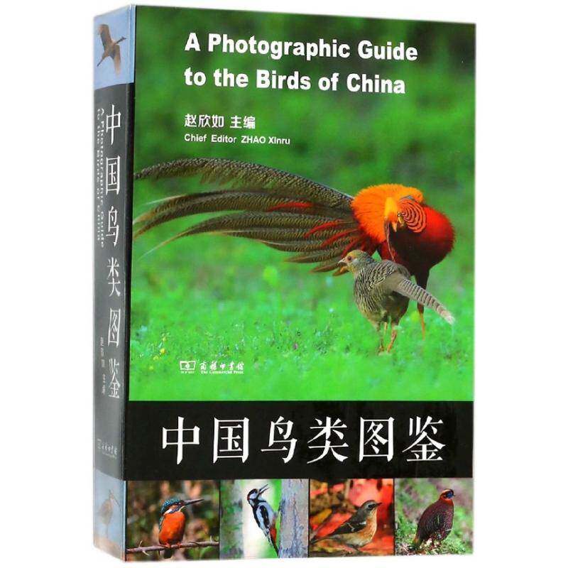 中国鸟类图鉴9787100160407 赵欣如商务印书馆自然科学鸟类中国图集书籍
