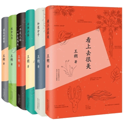 正版包邮 王朔文集全套6册 2015精装 看上去很美致女儿书知道分子动物凶猛等套装小说全集畅销文学朔自选集作品集 新经典ln