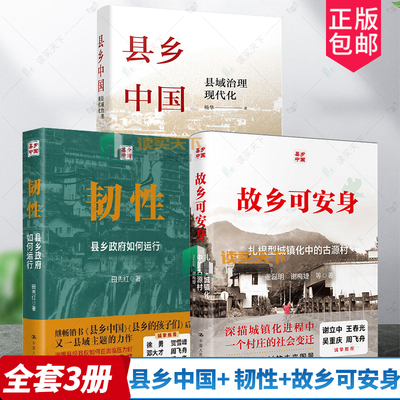 县乡中国+ 韧性+故乡可安身 扎根型城镇化中的古源村  县乡政府如何运行 县域治理现代化  杨华 县官现管基层治理 中国政治村长