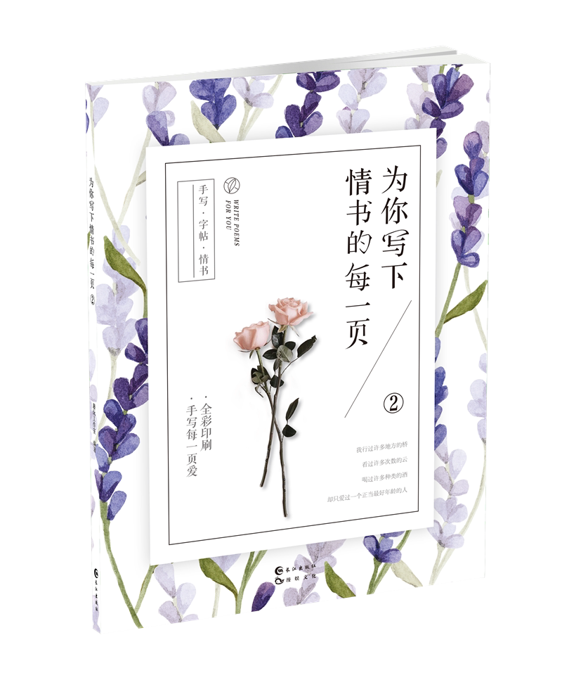 2  爱情小说 书籍