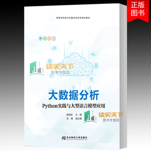 正版包邮 大数据分析 Python实践与大型语言模型应用 9787565458415 谢佳松 东北财经大学出版社
