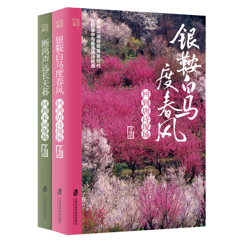 青豆书坊 银鞍白马度春风 回到唐诗现场+断鸿声远长天暮 回到宋词现场 文学书籍 畅销书经典 正版现货图书古典文学理论中国古诗词