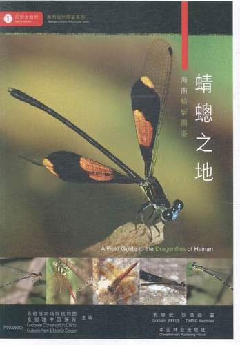 正版包邮 蜻蟌之地 海南蜻蜓图鉴 韦庚武 张浩淼著 中国林业出版社 9787503880186 海南岛常见蜻蜓形态习性
