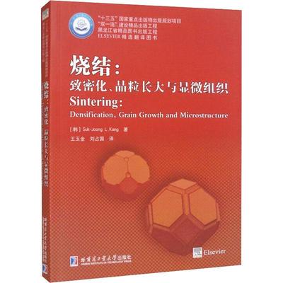 烧结:致密化、晶粒长大与显微组织:Densification, grain growth and microstructure_  工业技术书籍