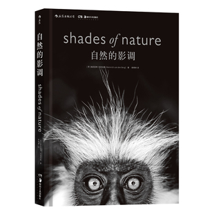自然的影调 动物摄影大师范登伯格突破摄影界限之作 摒弃规则和色彩 以非同寻常的摄影眼去发现自然摄影的另一种可能 艺术书籍