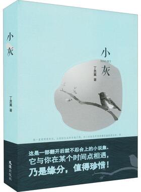小灰丁恩翼  小说书籍