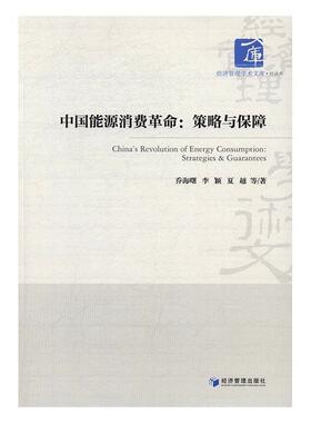 中国能源消费:策略与保障:strategies & guarantees乔海曙普通大众能源战略经济发展战略研究经济书籍