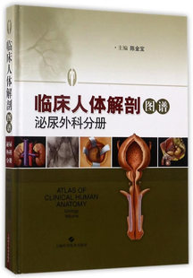 解剖学 Urology 正版 书籍 临床人体解剖图谱 陈金宝 volume 泌尿外科分册