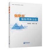 书籍 自然科学 强降雨熵原理和方法 书林宗桂