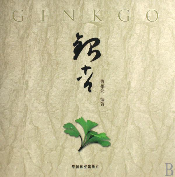 银杏(精装)  书 曹福亮 9787503846199 农业、林业 书籍